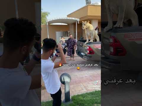 عرس ليبي فخم