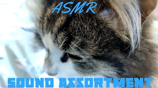 ASMR | 1 Hour Sound Assortment (No Talking)