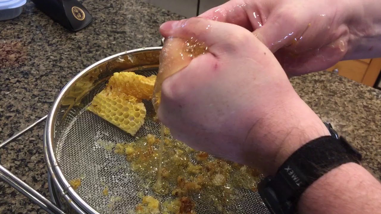 Extracting honey is like sticky bubble wrap YouTube