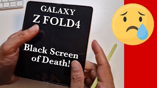 Galaxy Z Fold4 Folding Screen Has Died! Please Help!