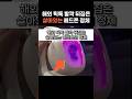 해외 틱톡 발칵 뒤집은 살아있는 헤드폰의 정체