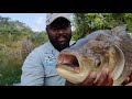 തിരുവനന്തപുരത്തെ പാറമട,  അതിലെ catla  മീനും (catla fishing in a pond from Trivandrum )