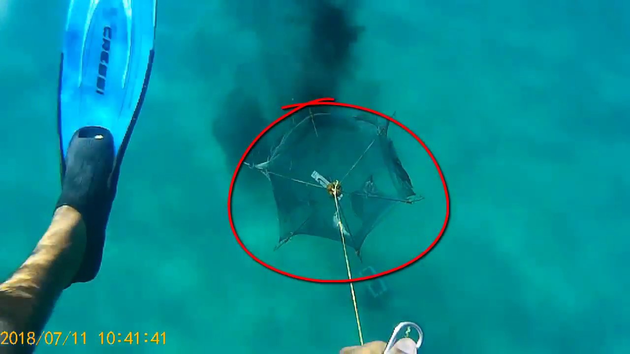 |Come pescare le seppie con le nasse|