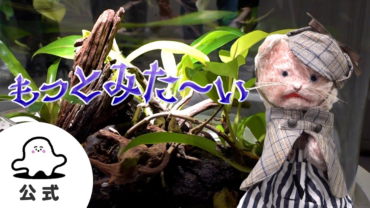 赤ちゃんが喜ぶ】シナぷしゅ公式もっとみた～いまとめ32│赤ちゃんが