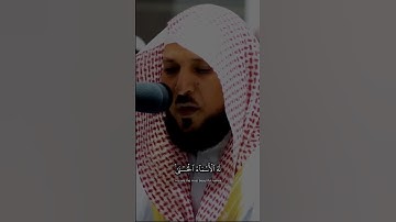 سورة الحشر ماهر المعيقلي #ماهر_المعيقلي #سورة_الحشر #قرآن_كريم #مكة #القرآن #islam