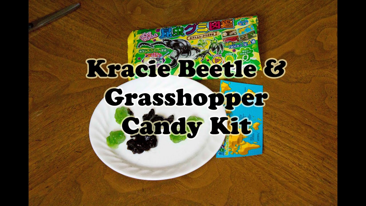 Kracie Beetle & Gummy Candy Kit YouTube