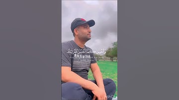 ما تيسر من سورة القصص #قران_كريم #توفيق_الطائع