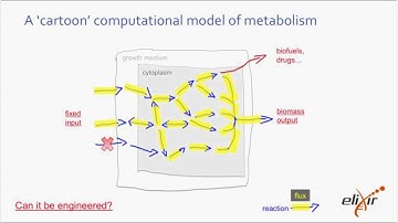ELIXIR Webinar: Microbioal Metabolism Resource for Systems Biology