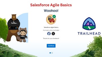 Salesforce Agile Basics Trailhead Solution | Complete Solution | #trailhead #sfdc #Copado