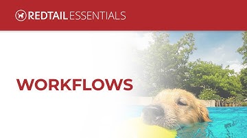 Redtail Essentials: Workflows