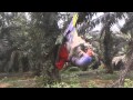 Tahan pukat burung puling