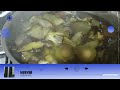 Efectos de sonido HIRVIENDO VERDURAS para videos sin copyright hervir ruido del agua