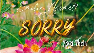 Lirik & lagu || Sorry - Yoga Vhein || Edit by Emilin Memell