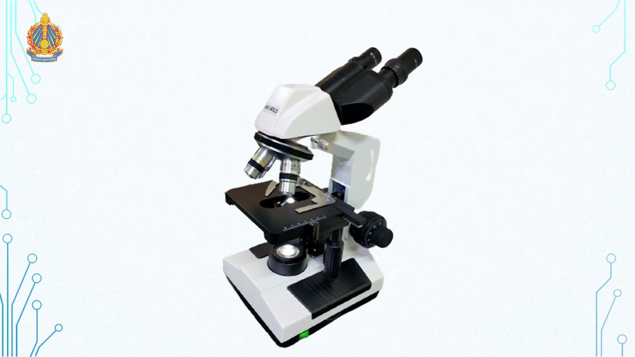 សង្កេតកោសិកាអេពីតេល្យូមនៃកោសិកាថ្ពាល់មនុស្ស