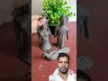 😎Making A Couple ldol With Clay #shorts #trending