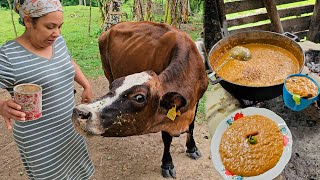 Tradicional Arroz Con Dulce Con Cascara De Limón Y Caramelo. Comida Típica. La vida del campo