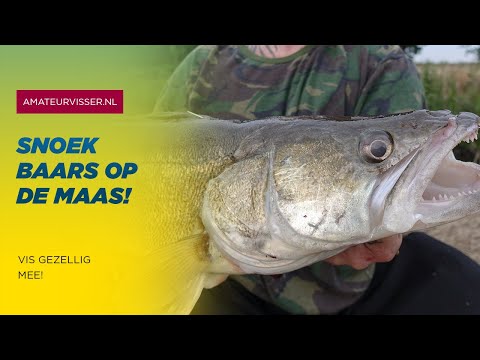 Video: Snoekbaars Met Oondgebak: 'n Paar Kookgeheime