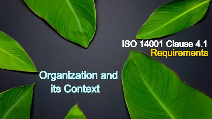 ISO 14001 clause 4.1 | Requirements of clause 4.1 | Understanding the organization and its context