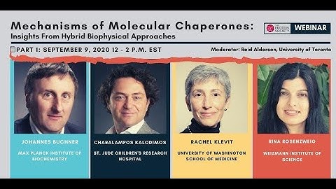 Mechanisms of Molecular Chaperones: Insights from Hybrid Biophysical Approaches (Part 1)