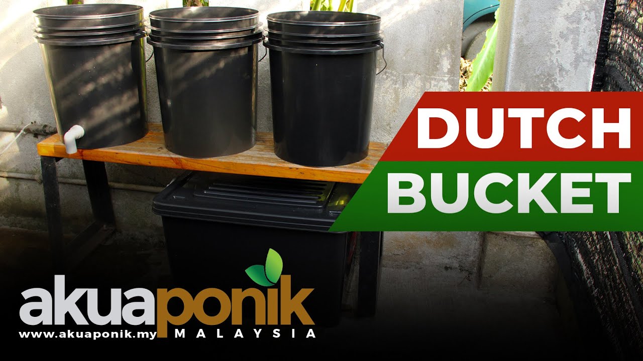 DUTCH BUCKET 01 Pengenalan Sistem Hidroponik Dutch Bucket YouTube