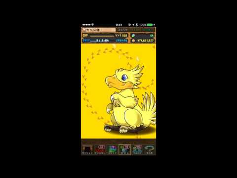 パズドラ FFコラボ 38連 ドットセシル2種作りたい！