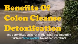 The Benefits Of Colon Cleanse And Detoxification