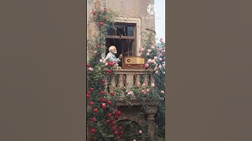 قرآن كريم هنا ☝🏻 راحة نفسية #قصص #قرآن #المصحف #قران_كريم