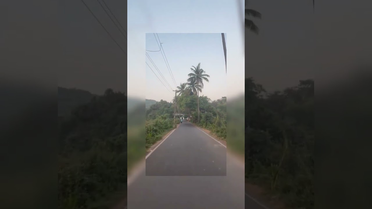 Beautiful morning at parra road Goa🌴 #goatravelvlog