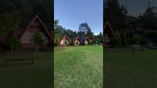 Download Lagu Suasana Pagi di Villa Sidomukti 📍 #pemandangan #glamping #sidomukti #bandungan #semarang #shorts MP3