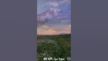 أتخاف على رزقك و الرزاق هو الله ؟ الآية 39 من سورة سبإ ❤️ #اسلام #قرآن #تلاوة #الرزق