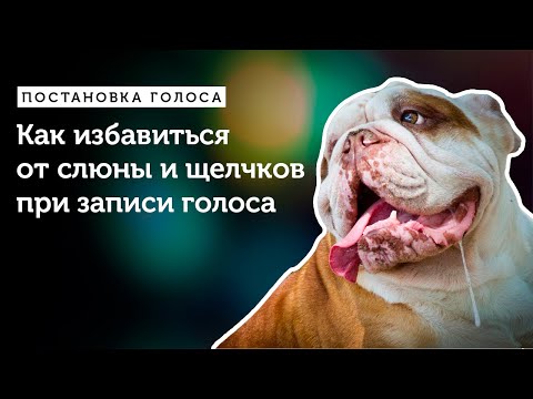 Запись голоса: как избавиться от слюны и щелчков