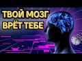 Ты живёшь в иллюзии, и мозг её создал | Мозг всё время обманывает тебя