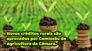 Novos créditos rurais são aprovados por Comissão de Agricultura da Câmara.