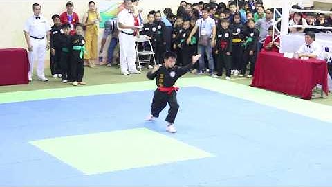 CĂN BẢN CÔNG 27 ĐỘNG TÁC | KHÁNH HÒA | GIẢI TRẺ VÕ CỔ TRUYỀN TOÀN QUỐC 2017