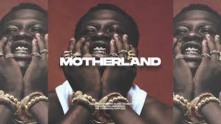 Pa Salieu x Skillibeng x J Hus Type Beat 2025 - "Motherland" | Afroswing x UK Rap Instrumental