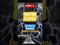 Alveoli Damage: Cigarette Ka Asar Lungs Ke Sabse Nazuk Hisse Par #bronchitis #lunginfections