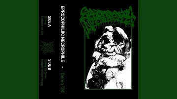 Executed On Site (2024 Demo)