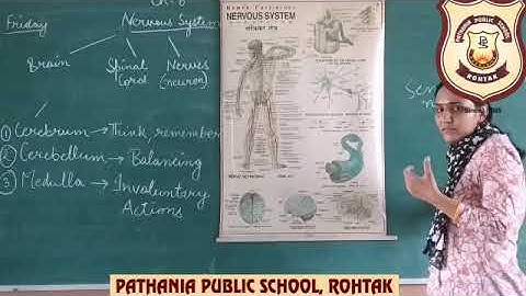 Pathania Main Campus,Science class5 Ch-8 (Nervous system) Part 1 Date 25/09/2020
