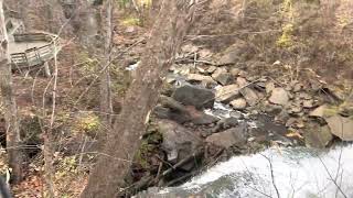 IMG 0557