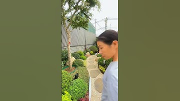 thi công sân vườn nhanh gọn