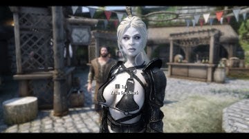 Skyrim Modding Update