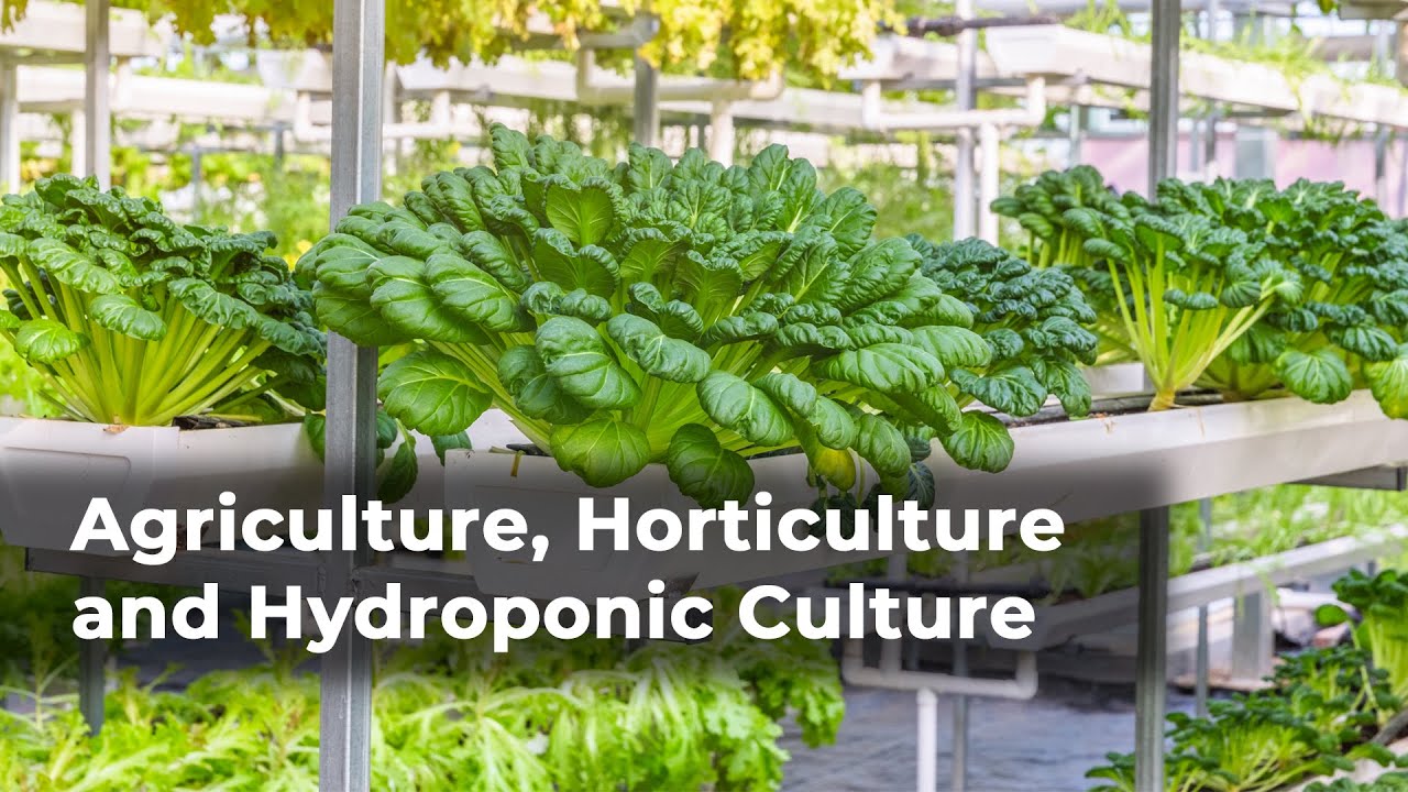 Grade-12 (Biology) Agriculture, Horticulture and Hydroponic Culture