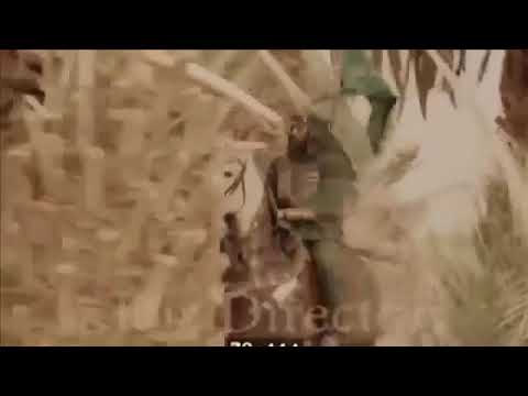 استشهاد الامام العباس ع مقطع محذوف من مسلسل المختار الثقفي
