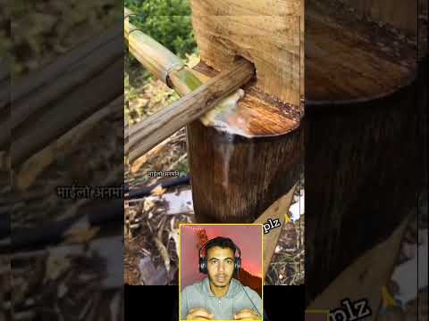 طريقة ممتازة دويتو اكسبلور معلومات  في  الجيلي   