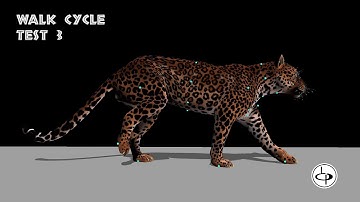 The Hunted - Walk and Run cycle Leopard