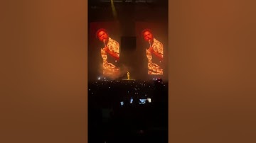 Post Malone - Saint-Tropez | LIVE