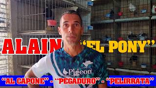 PALOMERO ALAIN "EL PONY" entre "Al Capone", "Pegaduro" y "Pelirrata"