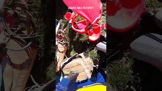 workshop tool #sworkshopequipment #treasurehunt #asmr #australia #shorts