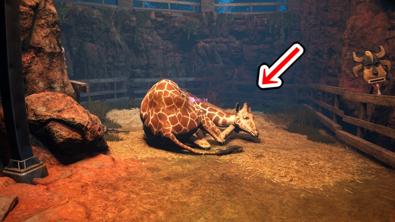 マジで閲覧注意...可愛かったはずの動物が突然変異を起こしてしまうホラーゲーム「zoochosis」実況プレイ