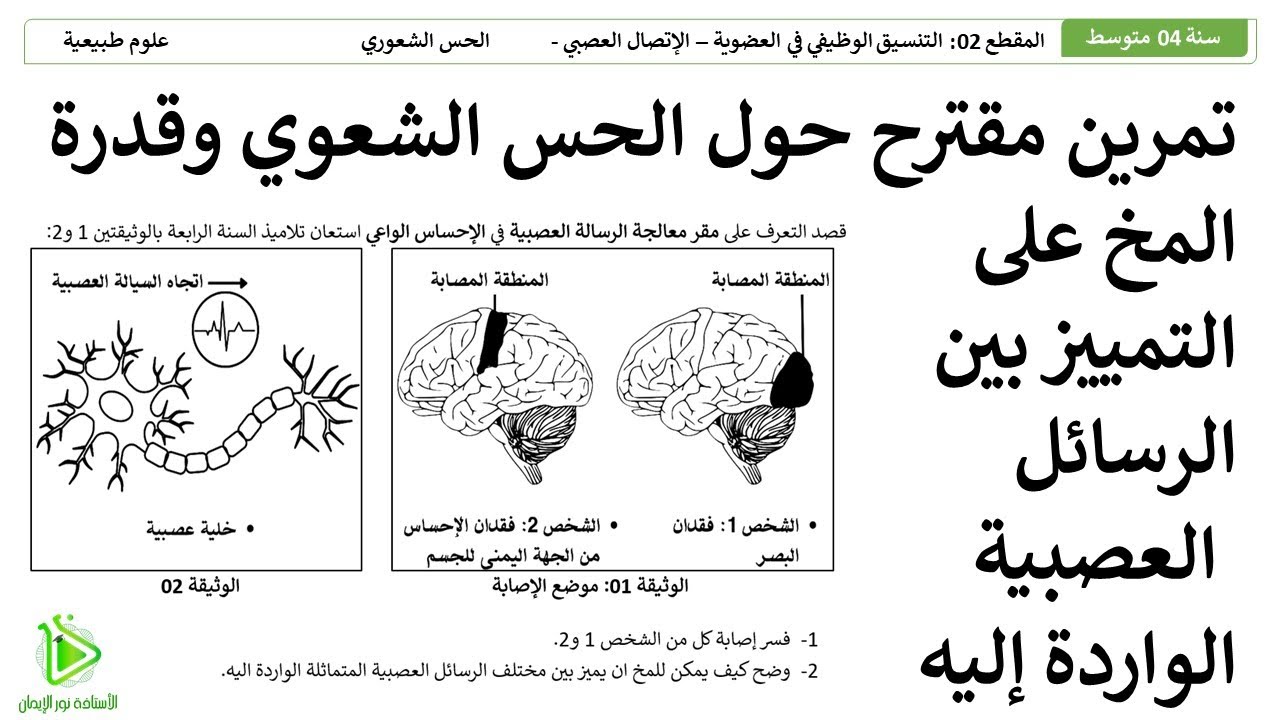 تمرين مقترح لشهادة التعليم المتوسط BEM -  قدرة المخ على التمييز بين الرسائل العصبية  - علوم طبيعية